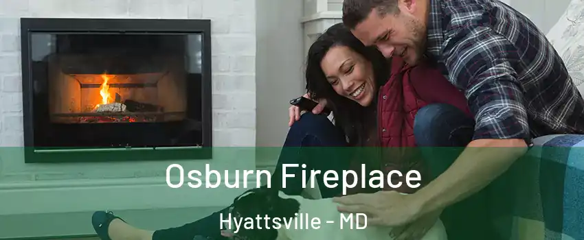  Osburn Fireplace Hyattsville - MD